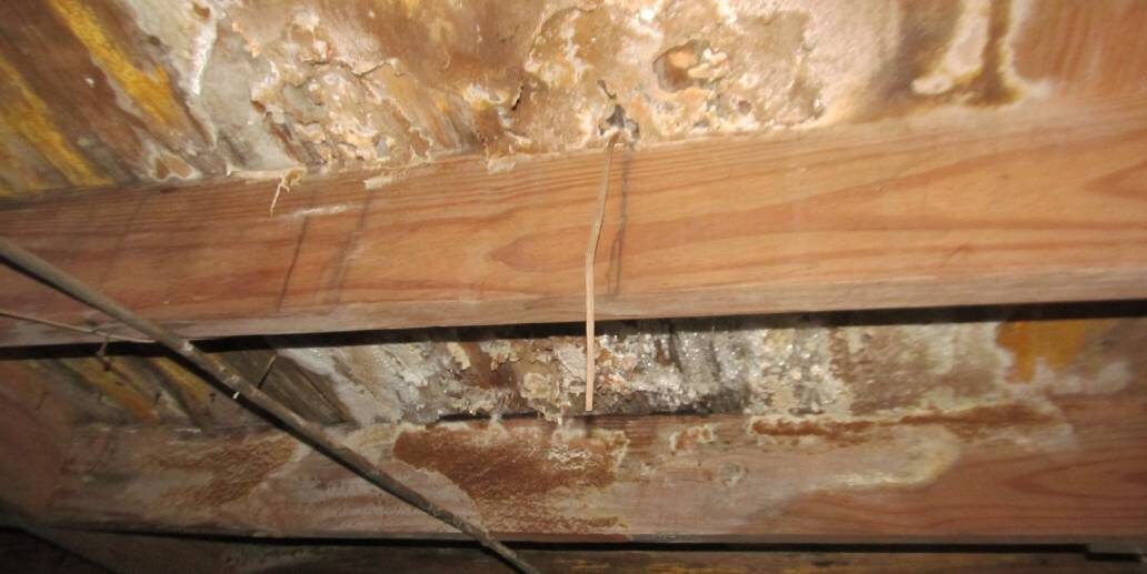 A wooden floor with water damage and a wire.